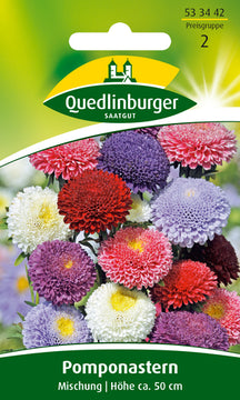 QUEDLINBURGER SAATGUT Pomponaster Mischung PG 2, Blumensamen