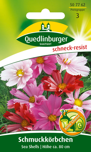 QUEDLINBURGER SAATGUT Schmuckkörbchen Sea Shells PG 3, bunt