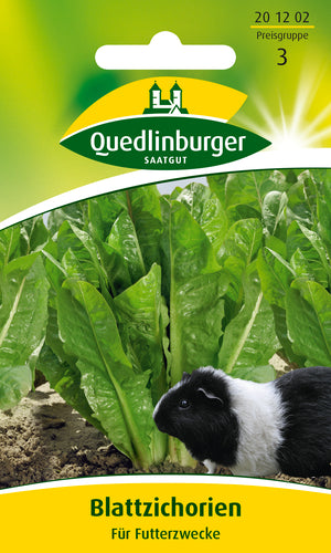 QUEDLINBURGER SAATGUT Futterzichorie Blattzichorie (Witloof) PG 3, Gemüsesamen