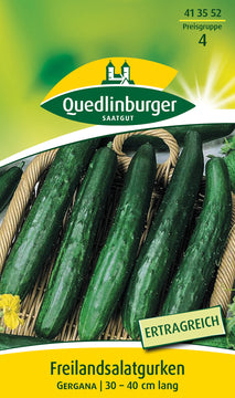 QUEDLINBURGER SAATGUT Gurkensalat-Salatgurke „Gergana“ PG 4