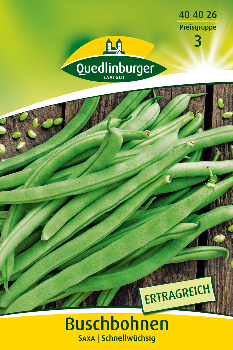 QUEDLINBURGER SAATGUT Buschbohnen Saxa, Gemüsesamen, ca. 40 cm