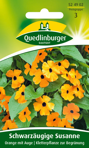 QUEDLINBURGER SAATGUT Schwarzäugige Susanne Samen orange, Blumensamen