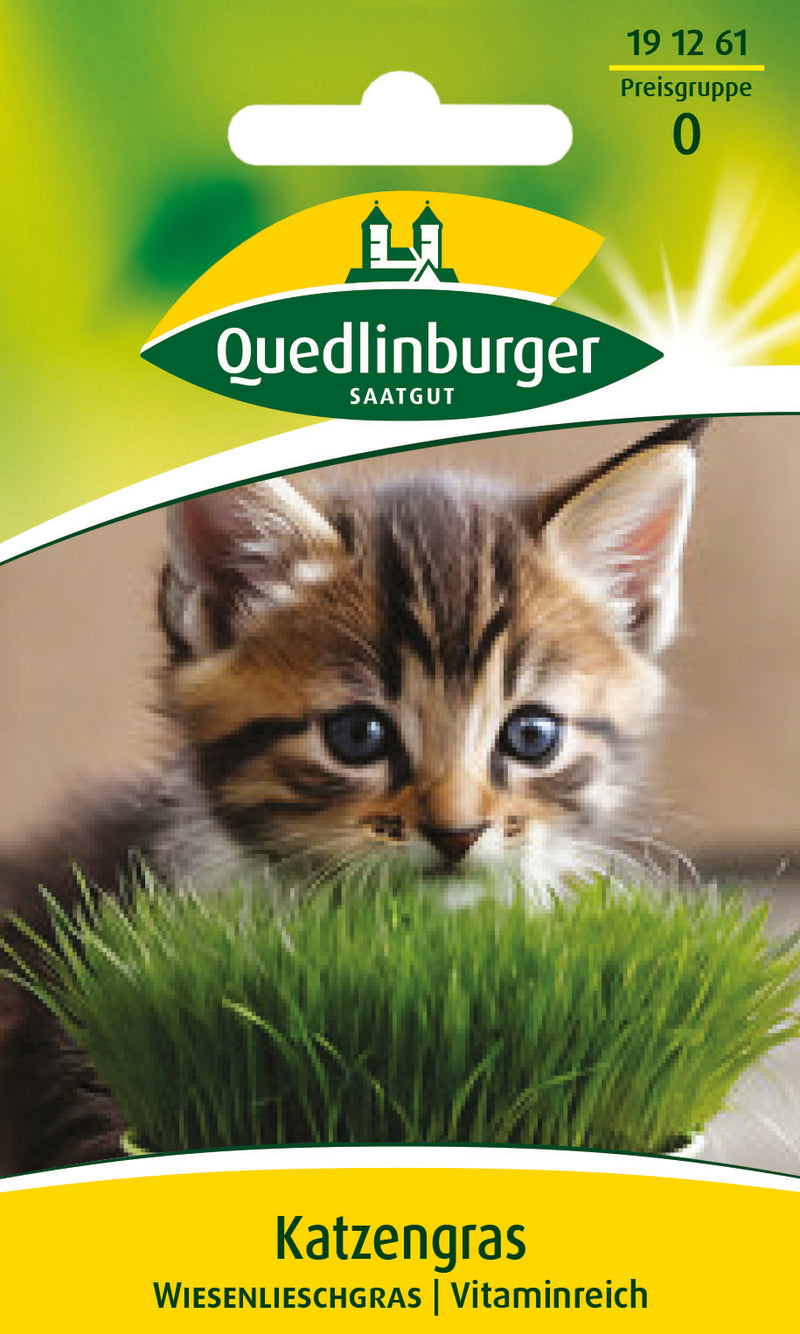 Quedlinburger Saatgut Katzengras/Wiesenlieschgras PG 4
