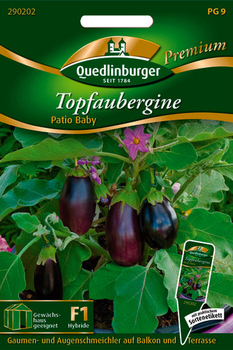 QUEDLINBURGER SAATGUT Aubergine Topf-Patio Baby F1 als Gemüsesamen