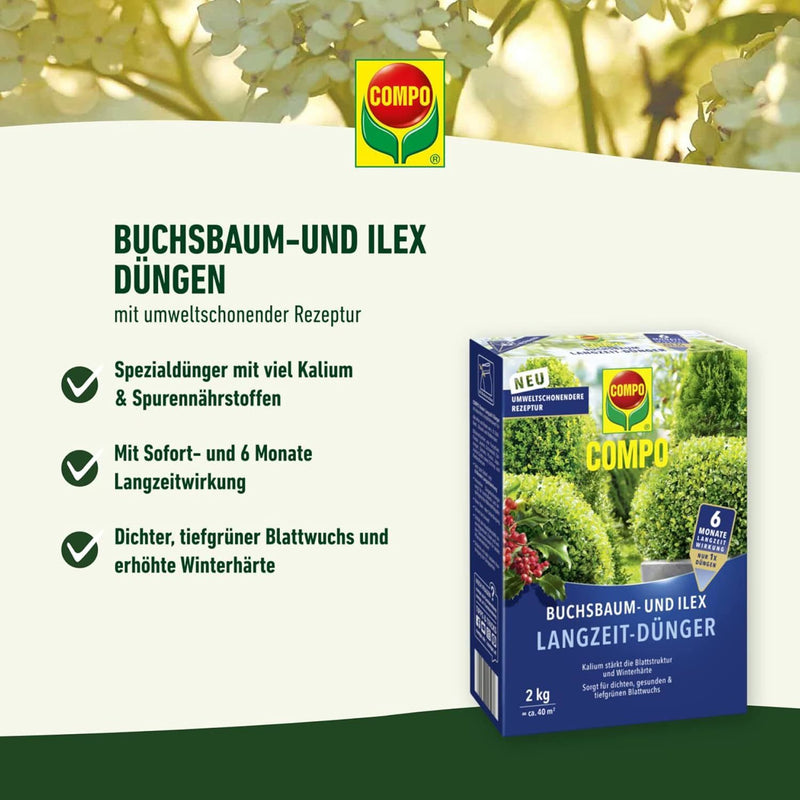 COMPO Buchsbaum-Ilex Langzeit-Dünger EREG Feststoffdünger außen