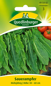Sauerampfer PG 3 – QUEDLINBURGER SAATGUT als Kräutersamen