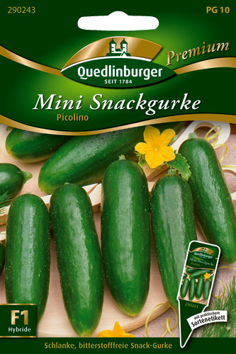 QUEDLINBURGER SAATGUT Picolino PG 10 Premium Mini Snackgurke (bitterfrei)