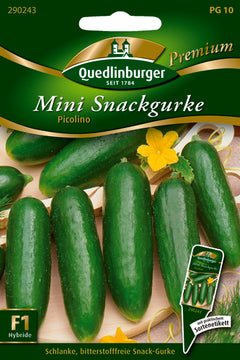 QUEDLINBURGER SAATGUT Picolino PG 10 Premium Mini Snackgurke (bitterfrei)