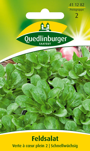 Quedlinburger Saatgut Dunkelgrüner vollherziger Feldsalat, PG 2