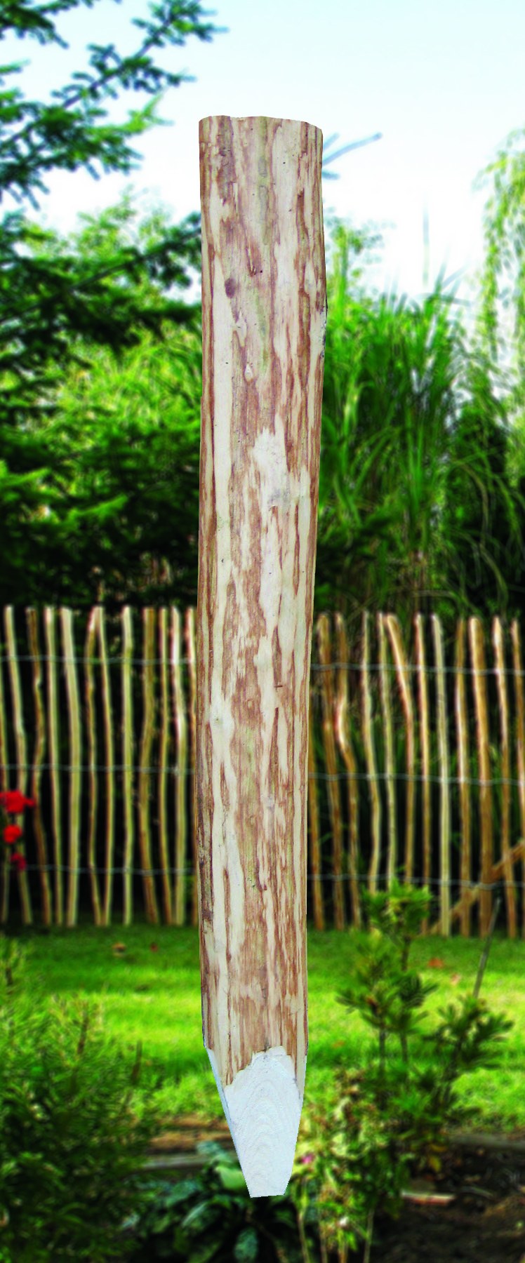 Joda® Kastanienpfahl, gespitzt, 6–10 cm stark, rund, Länge 150 cm