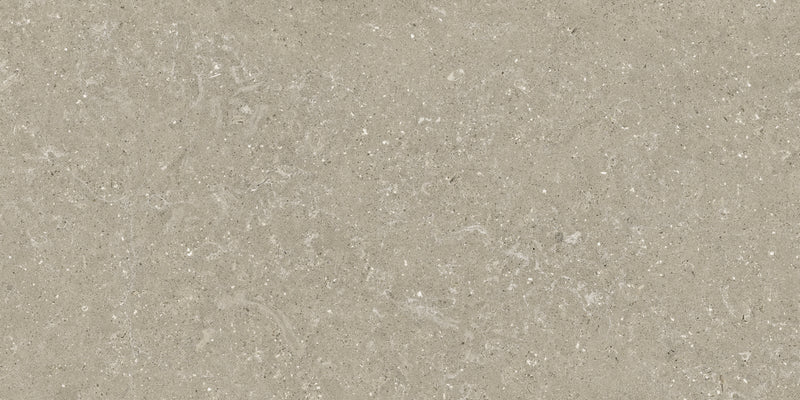 Ceramica del Conca Element 60 x 120 x 2 cm DELC Wild HWD11