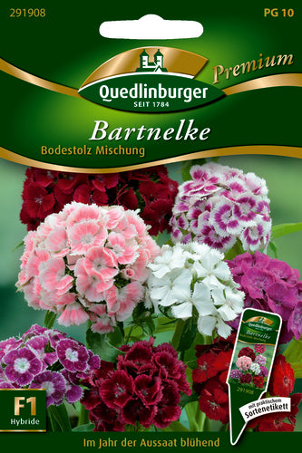 QUEDLINBURGER SAATGUT Bartnelke Bodestolz Mischung PG 10 Premium