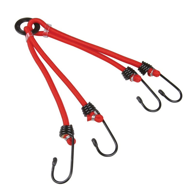 Inter-Union Spanngurt 50 cm 4-armig, Gummi schwarz, mit Haken