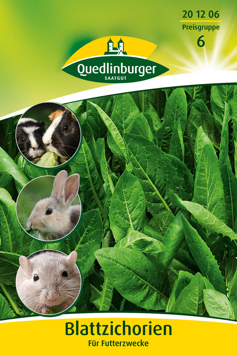 QUEDLINBURGER SAATGUT Blattzichorie GP 20 g PG 6 Futterpflanze