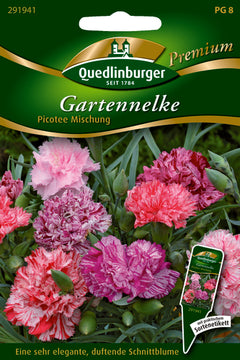 QUEDLINBURGER SAATGUT Gartennelken Picotee Mischung PG 8 Premium (Blumensamen)