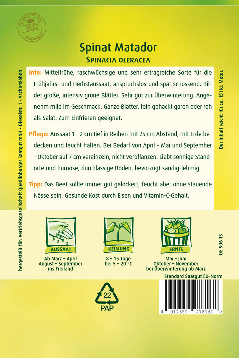 QUEDLINBURGER Spinat Matador GP – Gemüsesamen, sonniger Anbau (20 g)