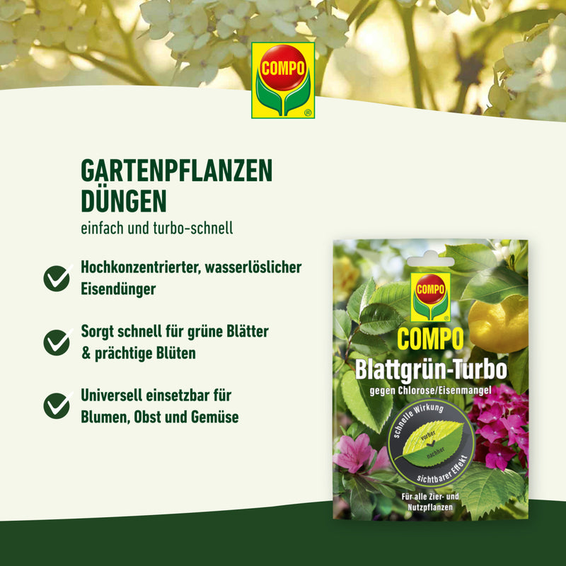 COMPO Blattgrün-Turbo Dünger, organisch für außen, 20-g Beutel (COMPO EREG)