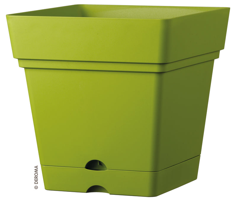 QUADRO SAMBA Wasserres. Hellgrün, gespritzter Kunststoff, 18 cm