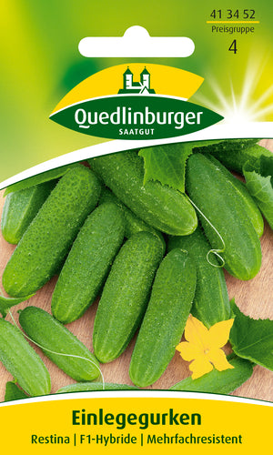 Quedlinburger Saatgut Einlegegurke Restina PG 4