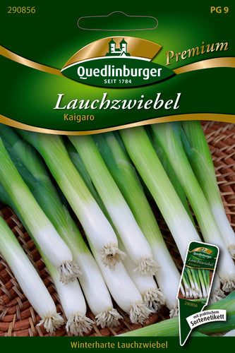 QUEDLINBURGER SAATGUT Premium PG 9 Laichzwiebel