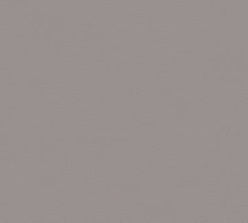 A.S. Creation Vliestapete Glatte Wand Uni, 53 cm 10,05 m