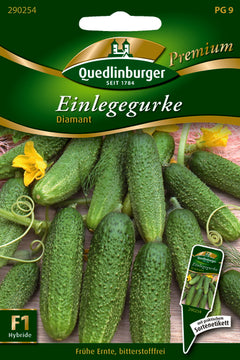 QUEDLINBURGER SAATGUT Einlegegurke „Diamant“ (PG 9 Premium), ca. 12 cm Wuchshöhe