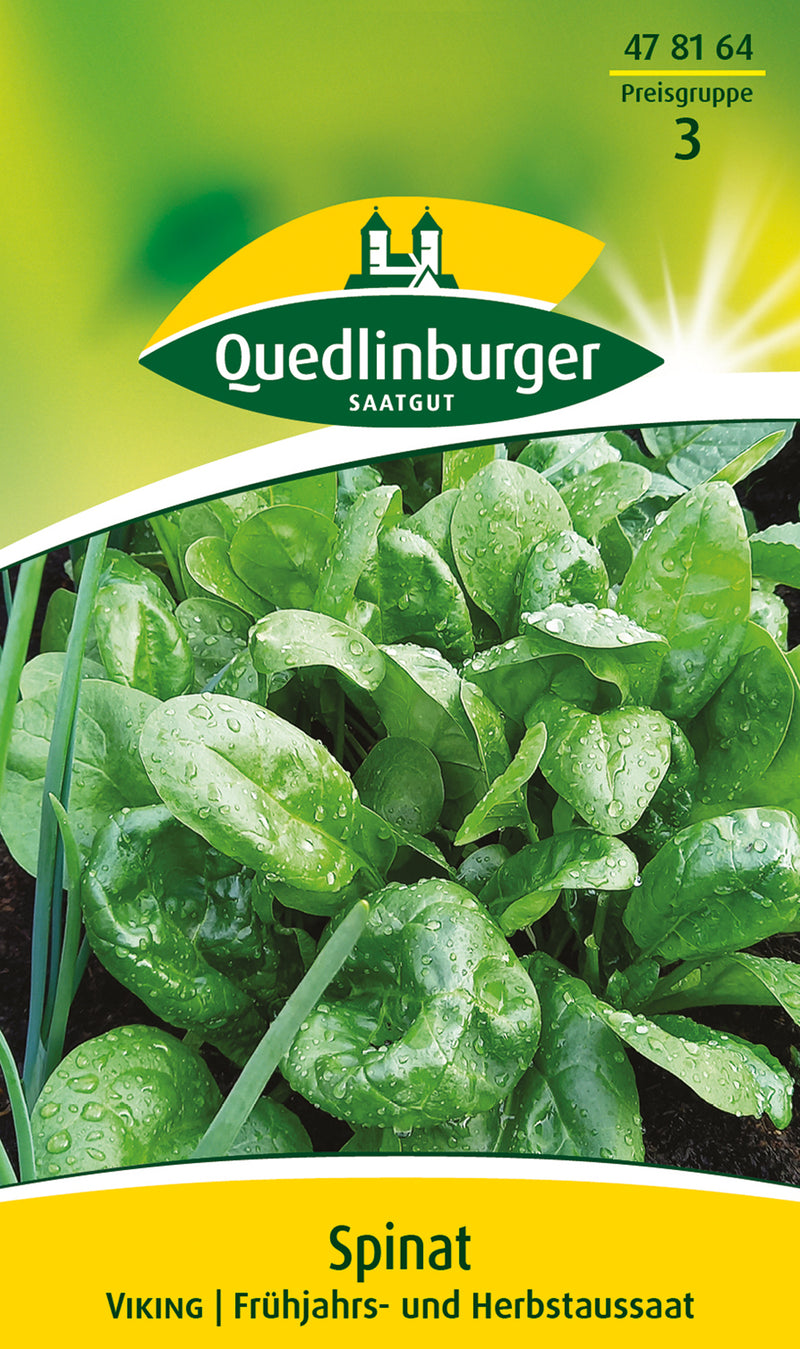QUEDLINBURGER SAATGUT Spinat Viking PG 3, Gemüsesamen (0,015 kg)