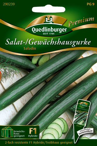 QUEDLINBURGER SAATGUT Saladin PG 9 Premium Gewächshausgurke (dunkelgrün)