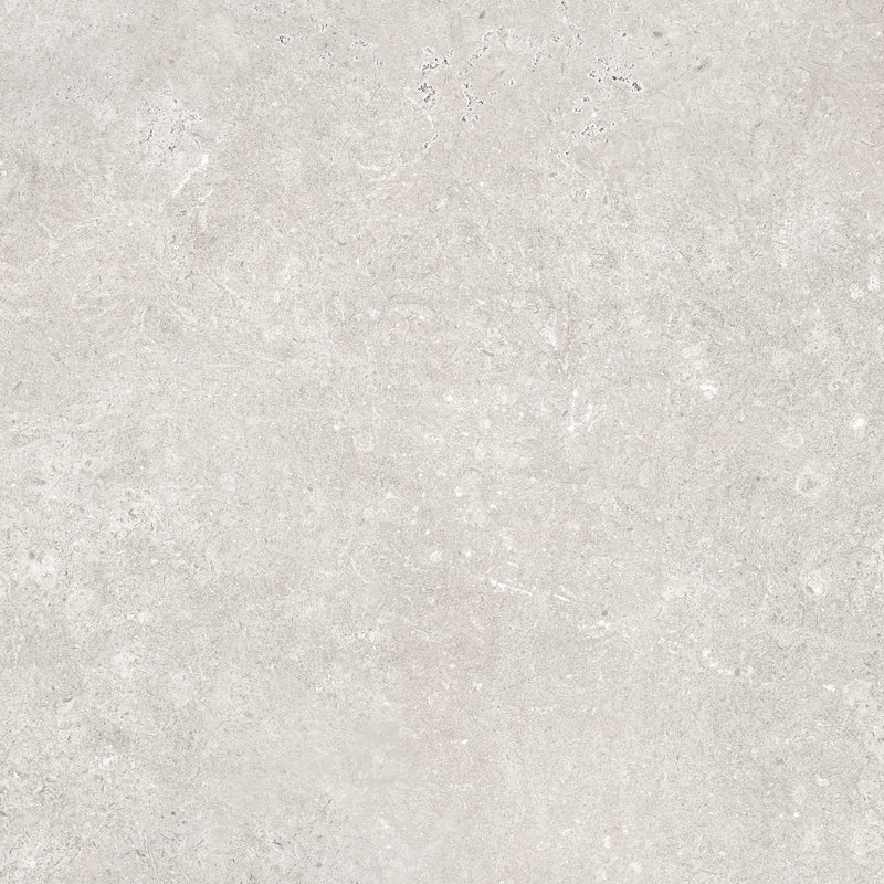 Agrob Buchtal ASCONA Feinsteinzeug Fliese pearl matt 60 x 60 x 8 mm, R11