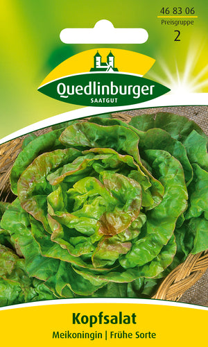 Quedlinburger Saatgut Kopfsalat „Maikönig“, PG 2