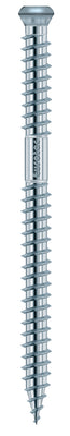 Eurotec Terrassenschrauben A2 Edelstahl, Teilgewinde, TX15, 4,2 x 60 mm