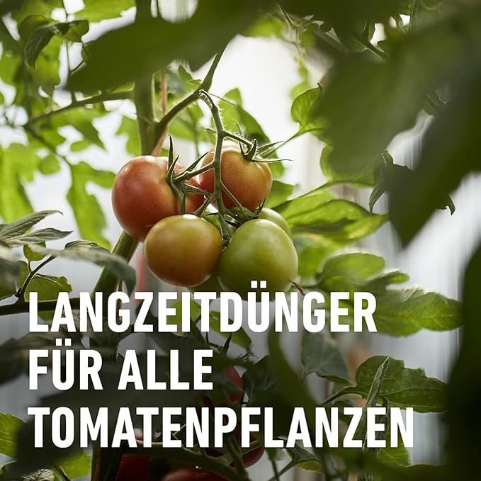 COMPO Tomaten Langzeit-Dünger EREG Feststoffdünger für außen
