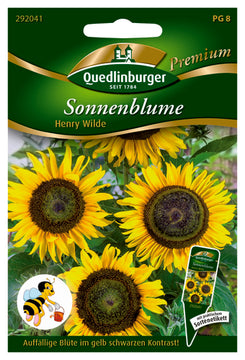 QUEDLINBURGER Saatgut Sonnenblumen Henry Wilde, gelb-schwarz, ca. 250 cm