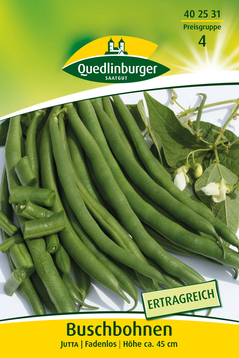 QUEDLINBURGER SAATGUT Buschbohnen Jutta (Gemüsesamen)