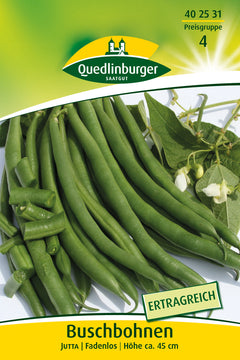 QUEDLINBURGER SAATGUT Buschbohnen Jutta (Gemüsesamen)