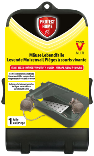 Protect Home Lebendfalle Maus Multi aus Kunststoff, 1 Stück