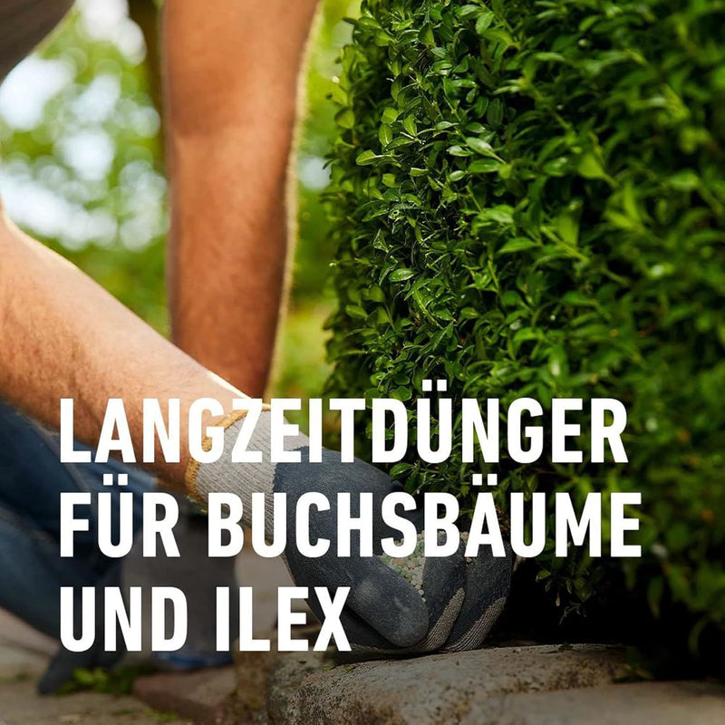 COMPO Buchsbaum-Ilex Langzeit-Dünger EREG Feststoffdünger außen