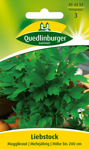 Quedlinburger Saatgut Liebstock Maggikraut PG 3 Kräutersamen