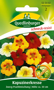 QUEDLINBURGER SAATGUT Kapuzinerkresse Zwerg-Prachtmischung PG 2 (Kräutersamen)