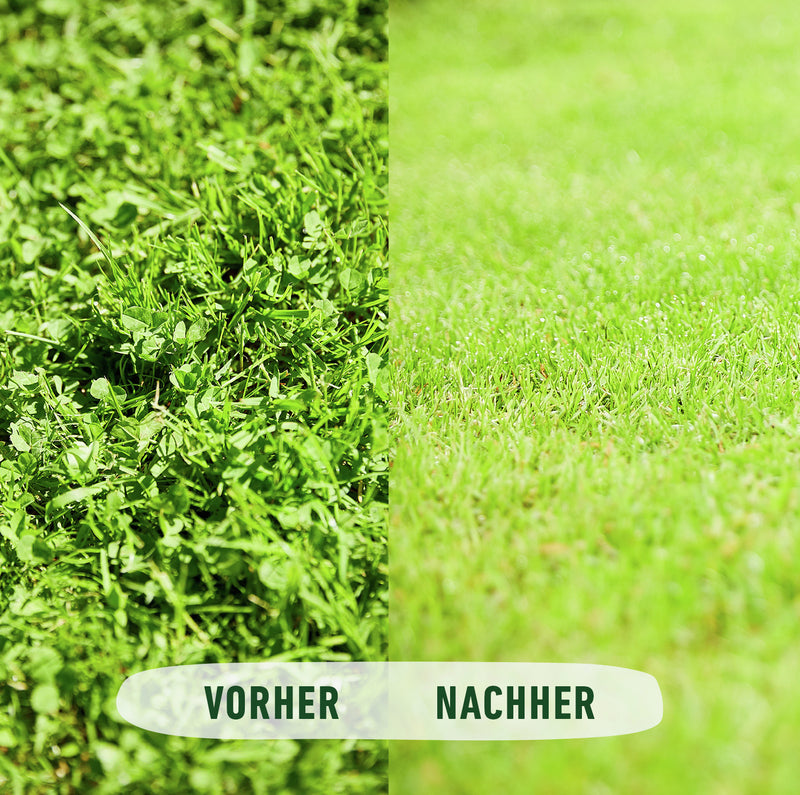 COMPO Rasendünger UV+MV Pflege gegen Unkraut und Moos, 3 kg