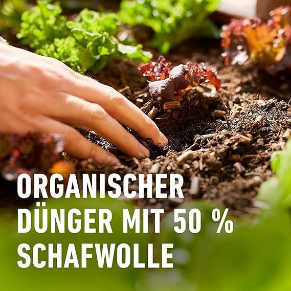 COMPO BIO Hochbeet-Dünger mit Schafwolle, organischer Feststoffdünger 0,75 kg
