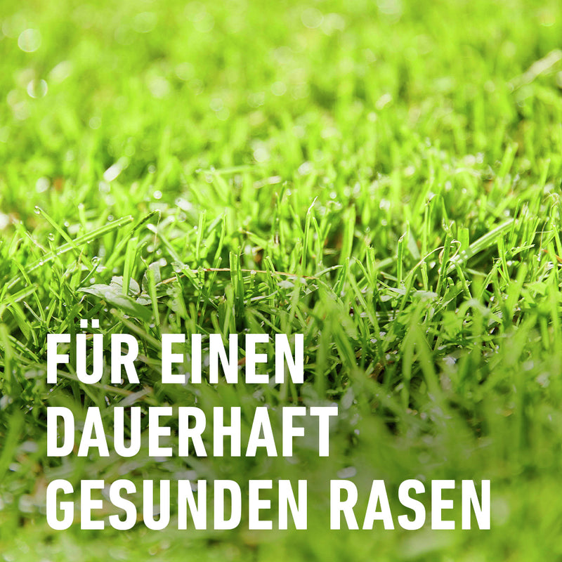 COMPO Rasendünger UV+MV Pflege gegen Unkraut und Moos, 3 kg