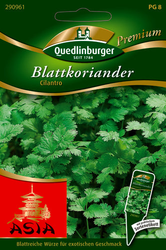 Quedlinburger Saatgut Blattkoriander Cilantro PG 8 Premium