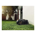 Weitere Bilder