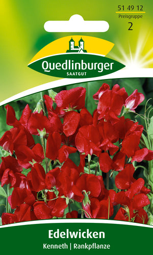 QUEDLINBURGER SAATGUT Edelwicke Kenneth (rot) – Blumensamen