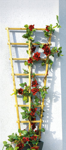 ante Rankgitter Trapez grün 65/30 – 150 cm