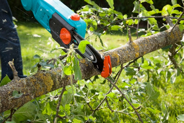 Gardena Elektro-Teleskop-Hochentaster TCS 720/20 in grün, 20 cm