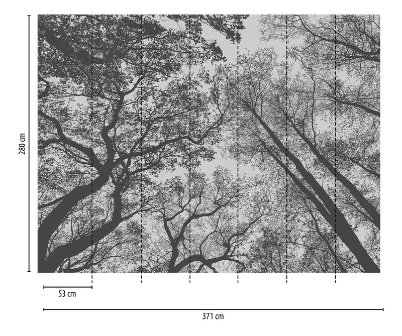 A.S. Creation THE WALL Fototapete 7er Panel Vlies Wald Bäume schwarz/weiß 53 cm