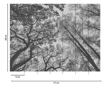 A.S. Creation THE WALL Fototapete 7er Panel Vlies Wald Bäume schwarz/weiß 53 cm