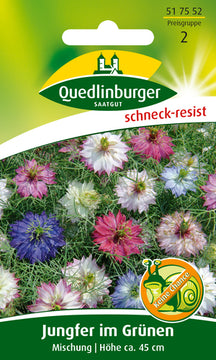 QUEDLINBURGER SAATGUT Jungfer im Grünen Mischung PG 2 (Blumensamen)
